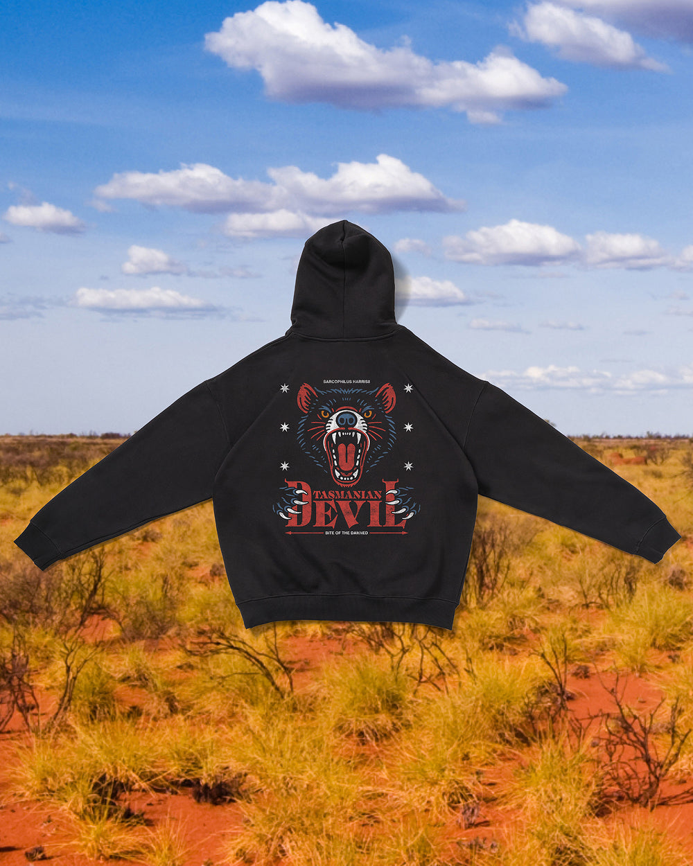 The Devil Hoodie product image 5