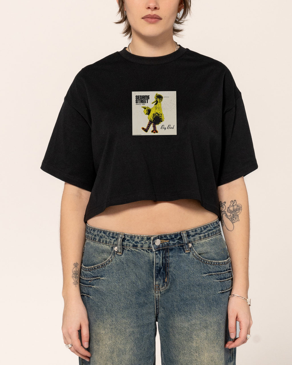Big Bird Underground Crop Tee product image 1