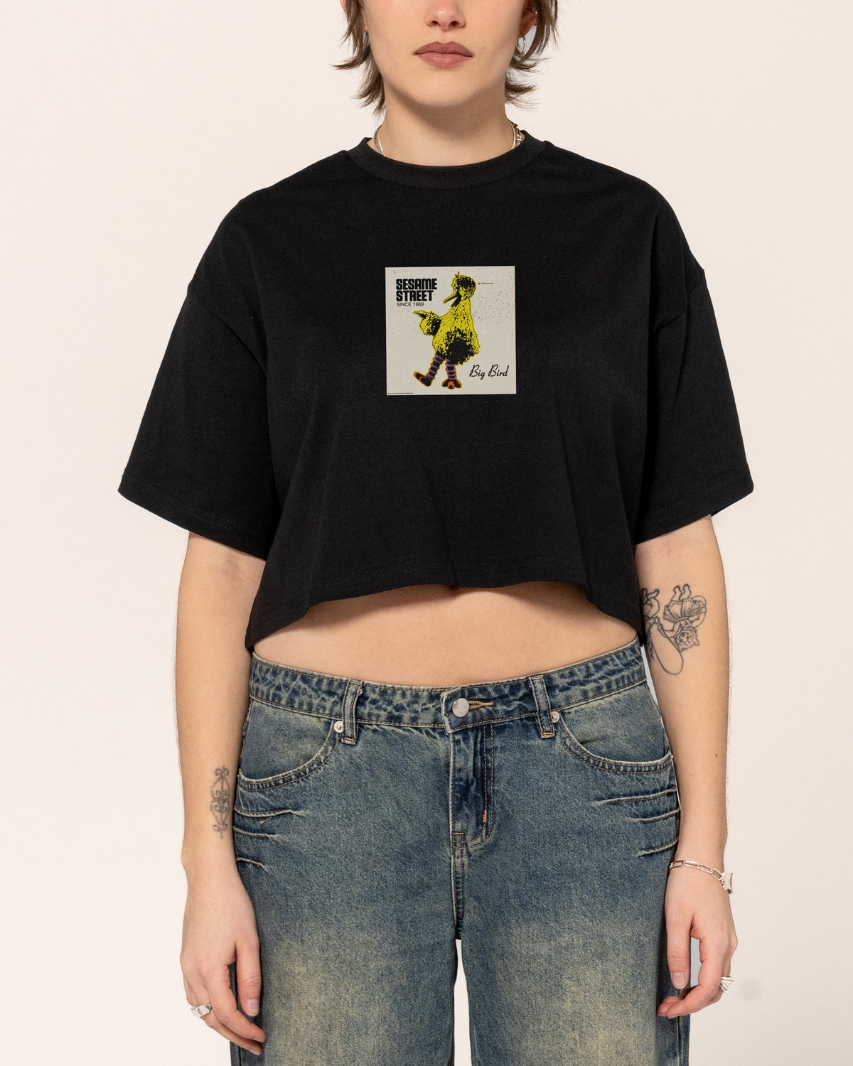 Big Bird Underground Crop Tee product image 1