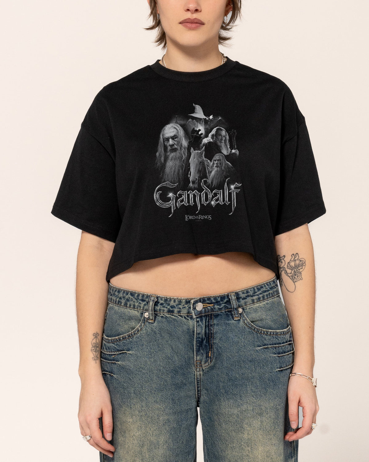 Gandalf the Grey Crop Tee product image 1