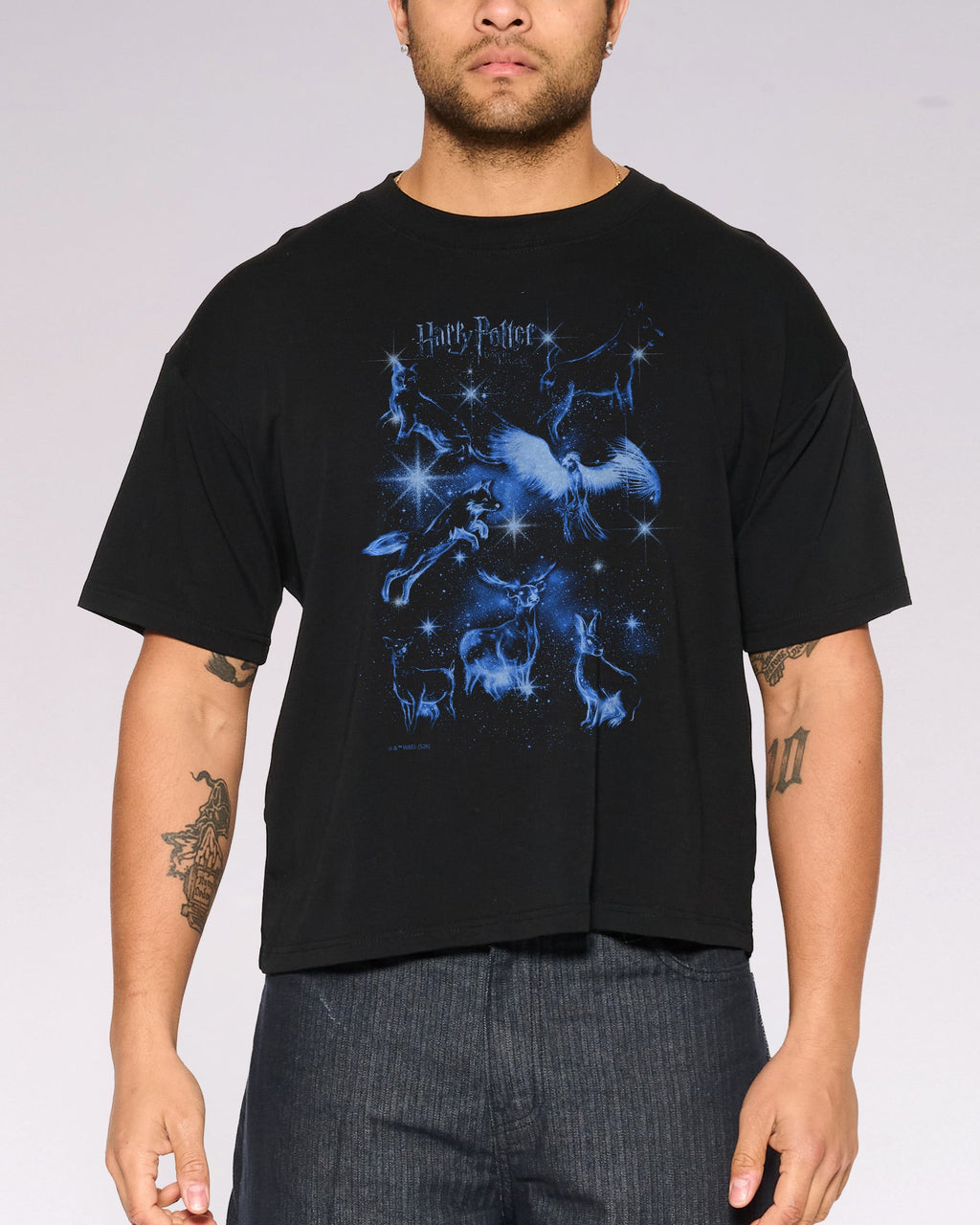 Patronus Compilation Oversized Crop Tee product image 1