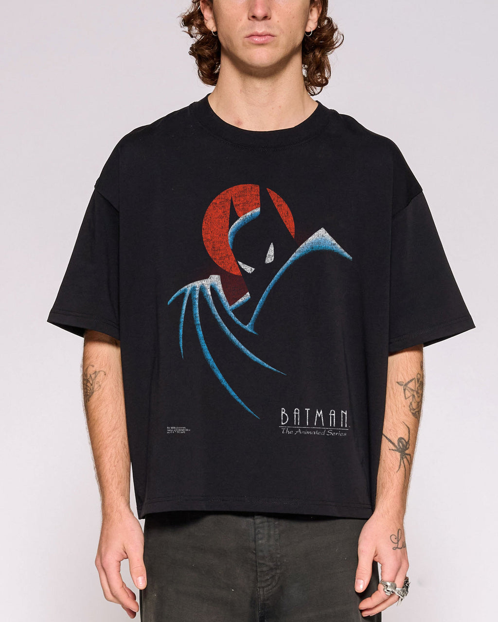 Batman The Animated Series Logo Oversized Crop Tee product image 1