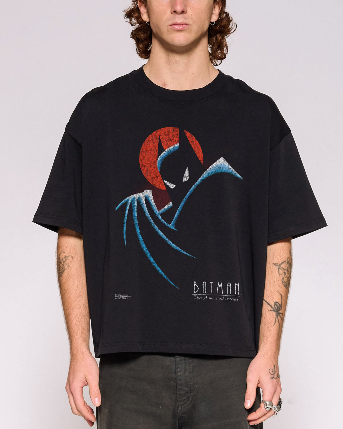 Batman The Animated Series Logo Oversized Crop Tee product image 1