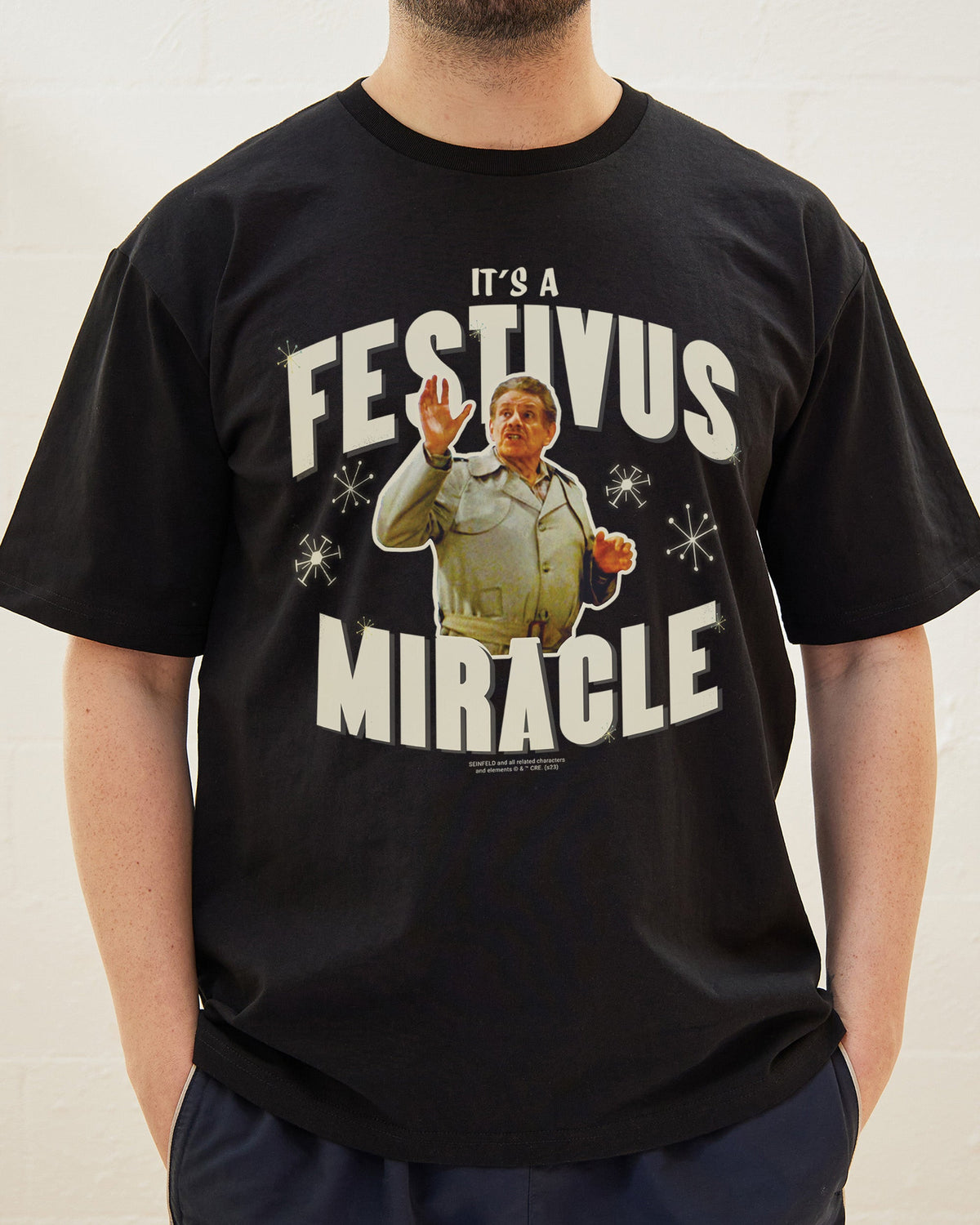 It's A Festivus Miracle T-Shirt product image 1