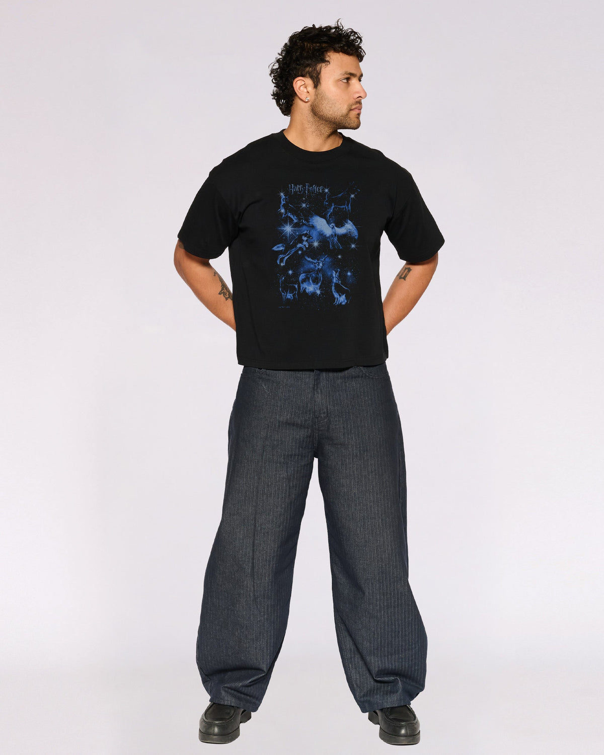 Patronus Compilation Oversized Crop Tee product image 2
