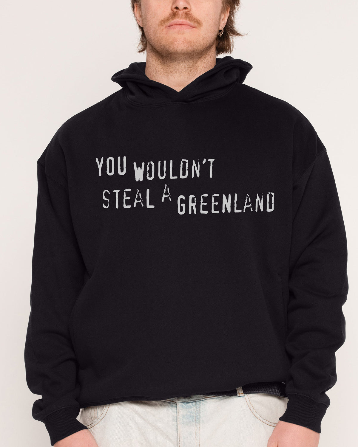 You Would’t Steal A Greenland Hoodie product image 2