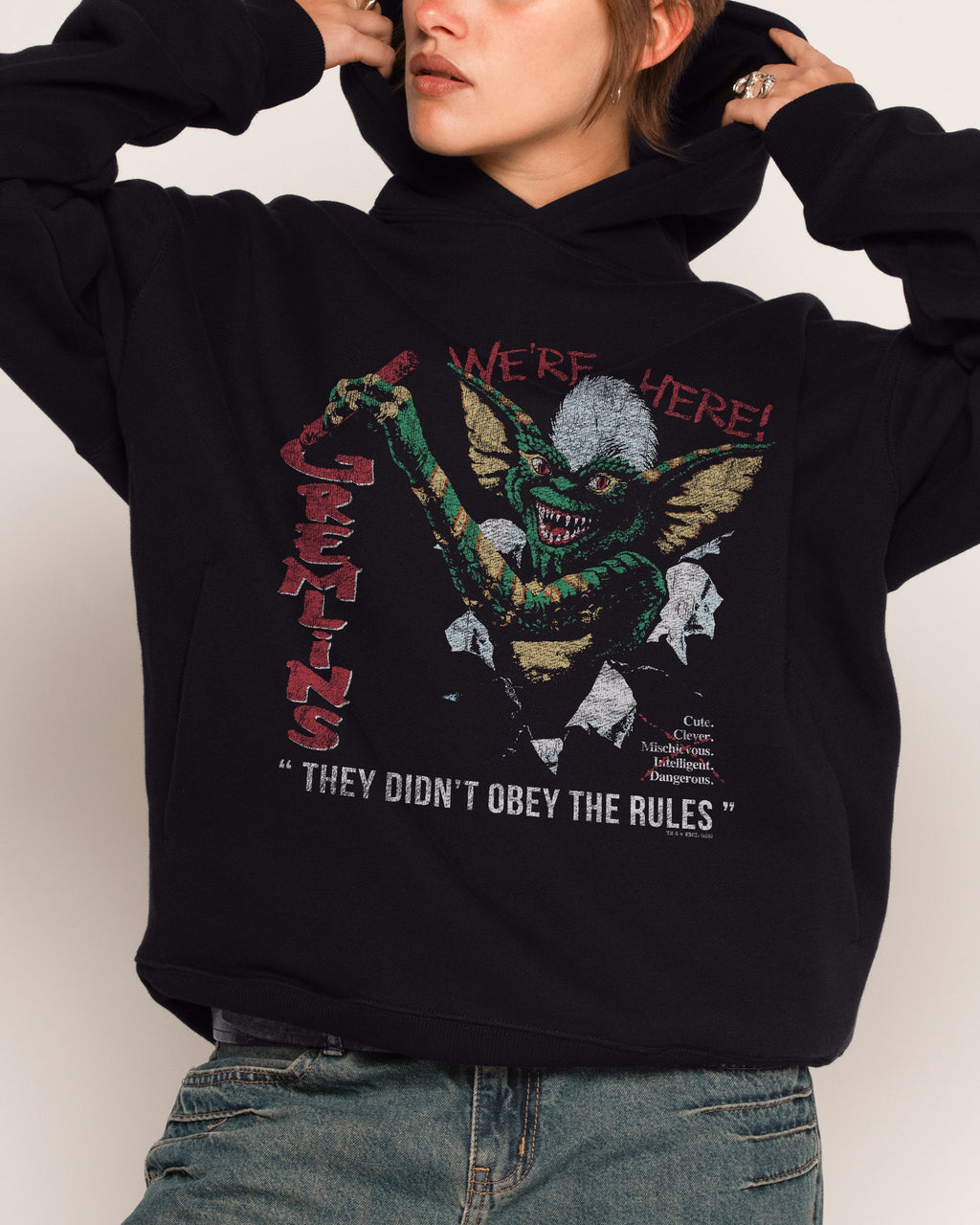 We’re Here Hoodie product image 1