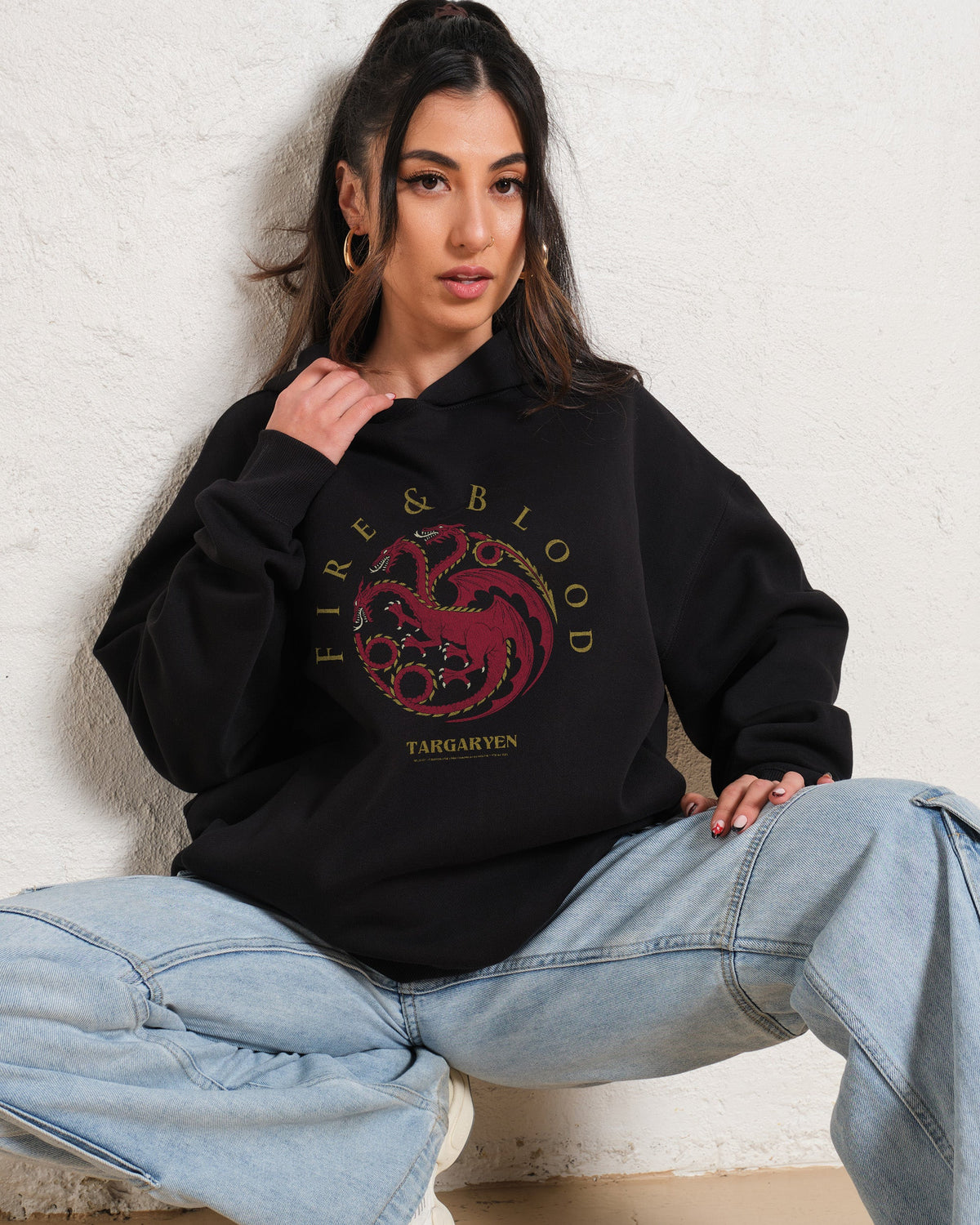 House Targaryen Hoodie product image 1