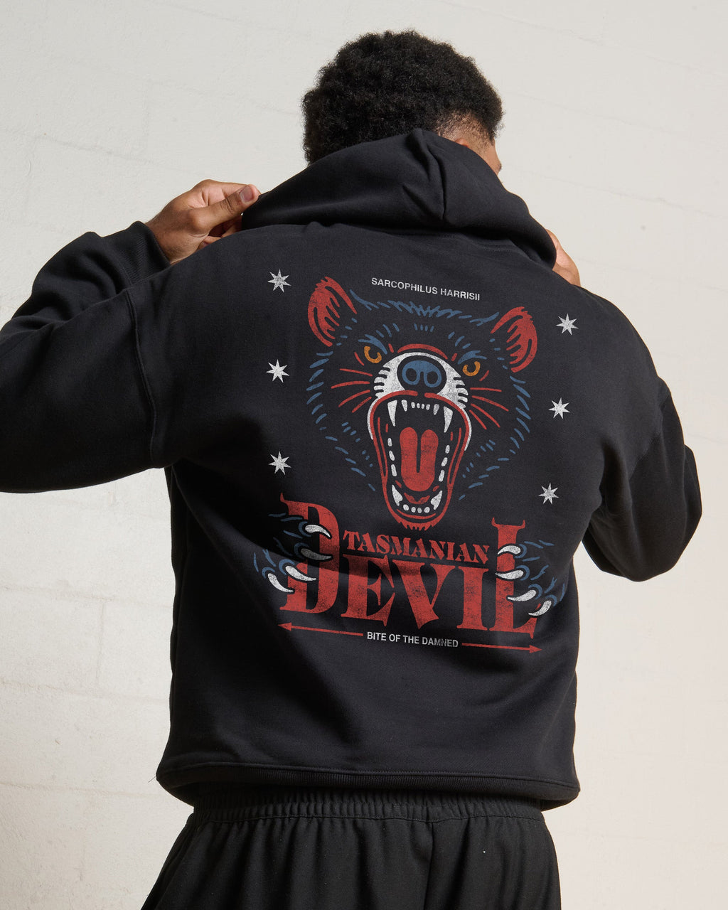 The Devil Hoodie product image 1