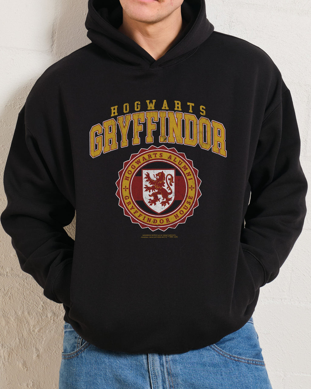 Gryffindor College Hoodie product image 2