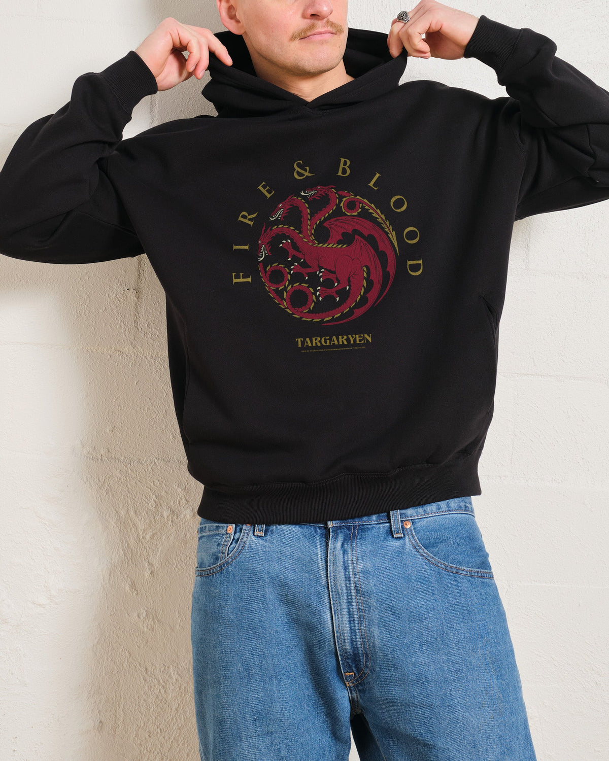House Targaryen Hoodie product image 2