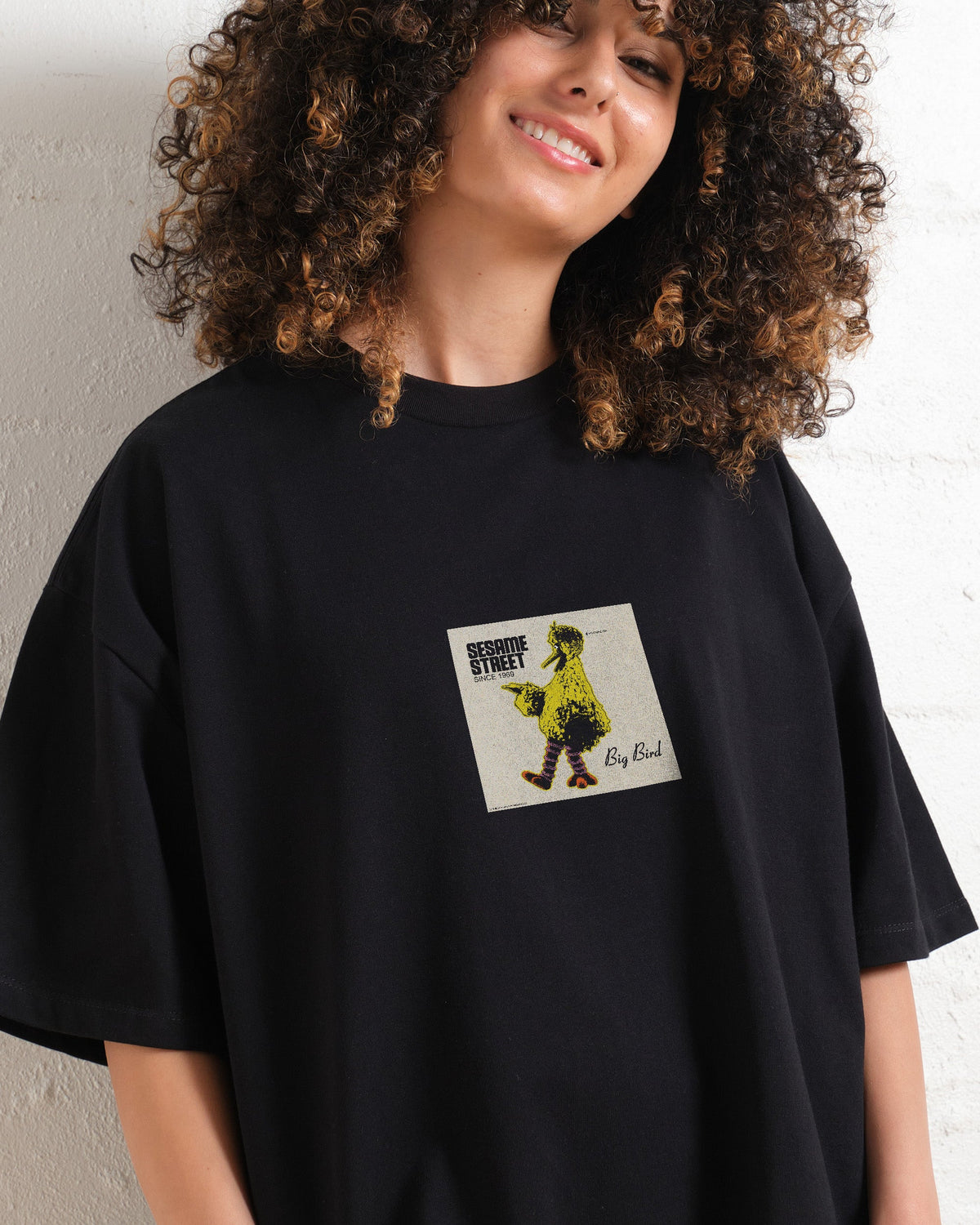 Big Bird Underground Oversized Tee product image 3