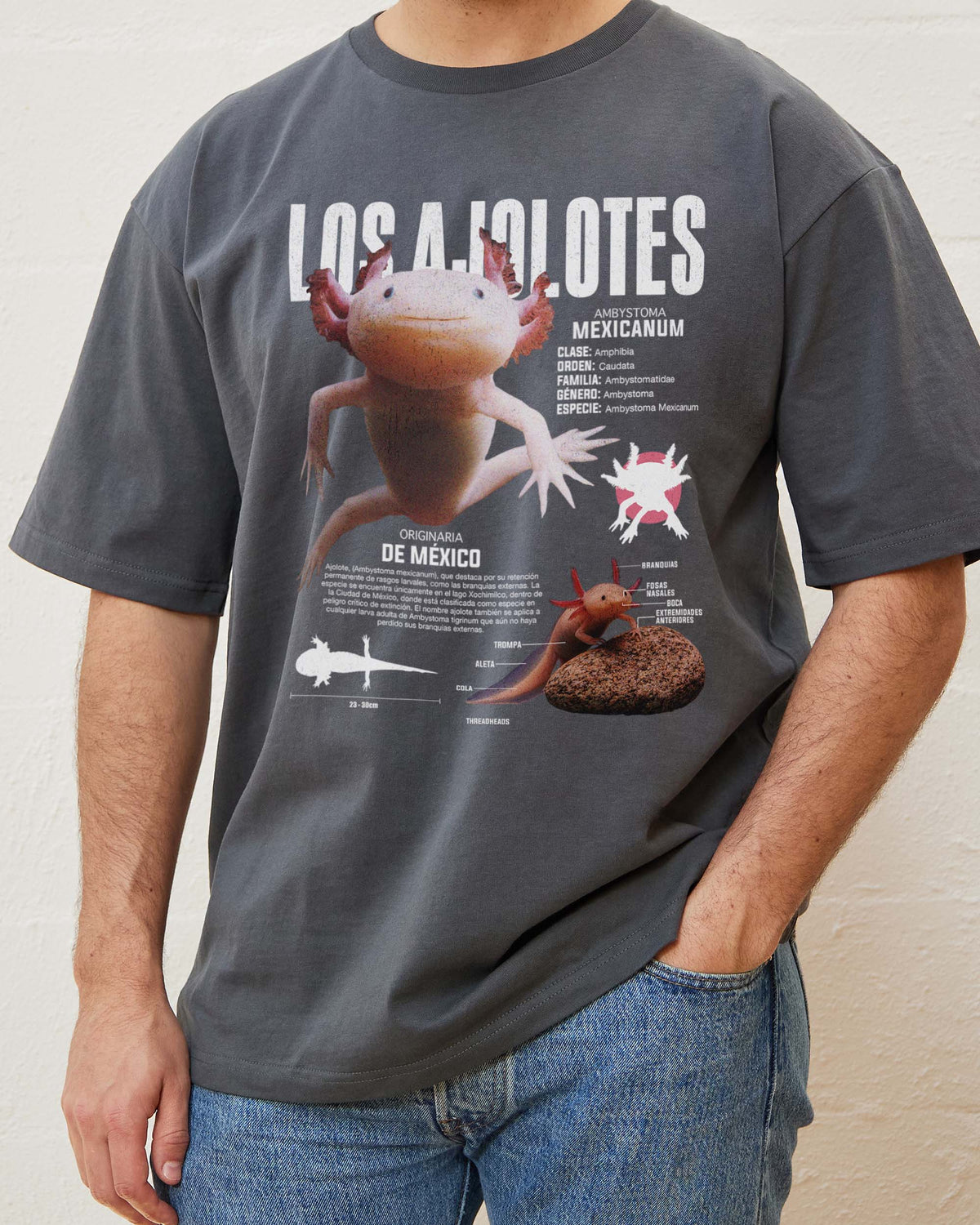 Los Ajolotes T-Shirt product image 7