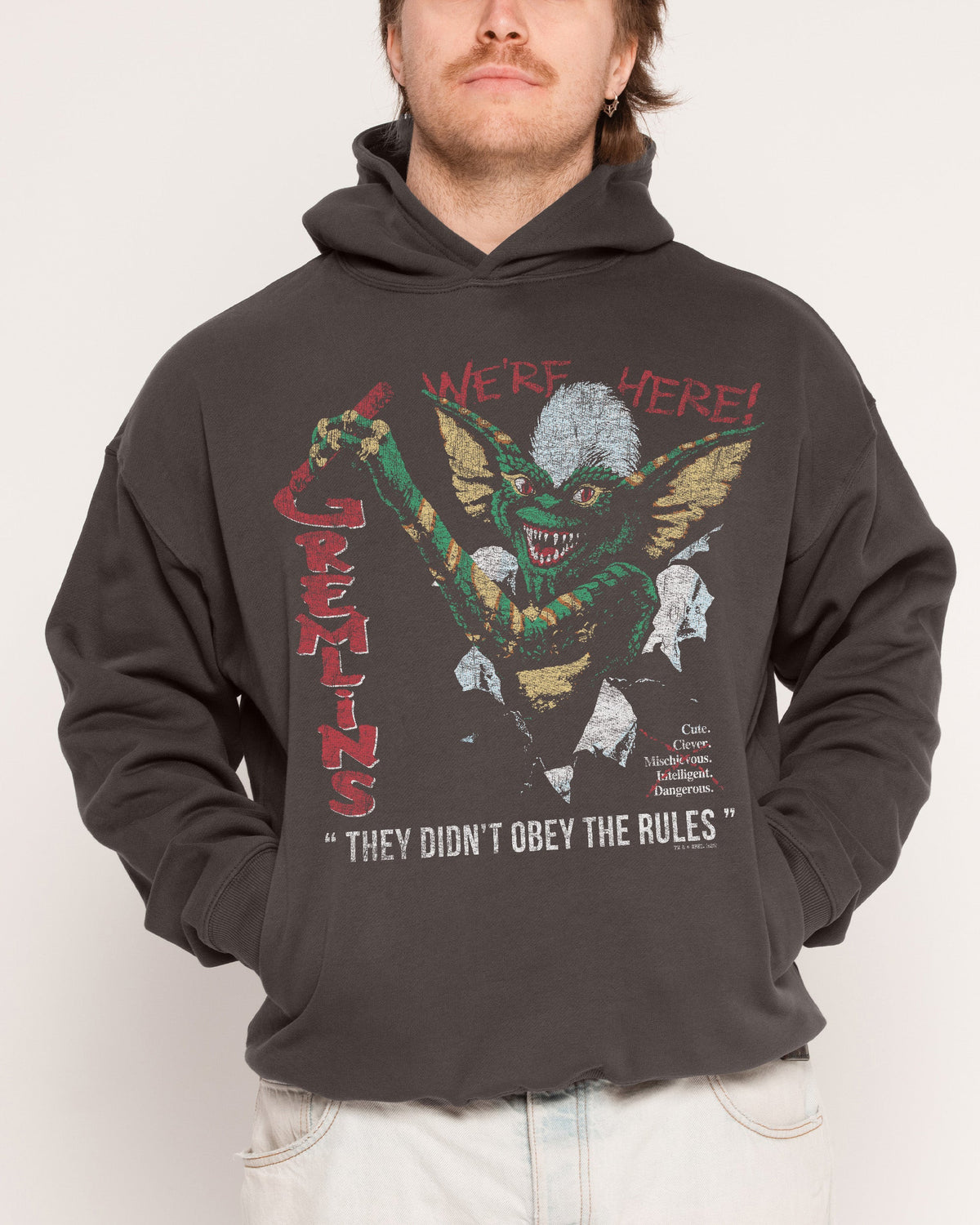 We’re Here Hoodie product image 2