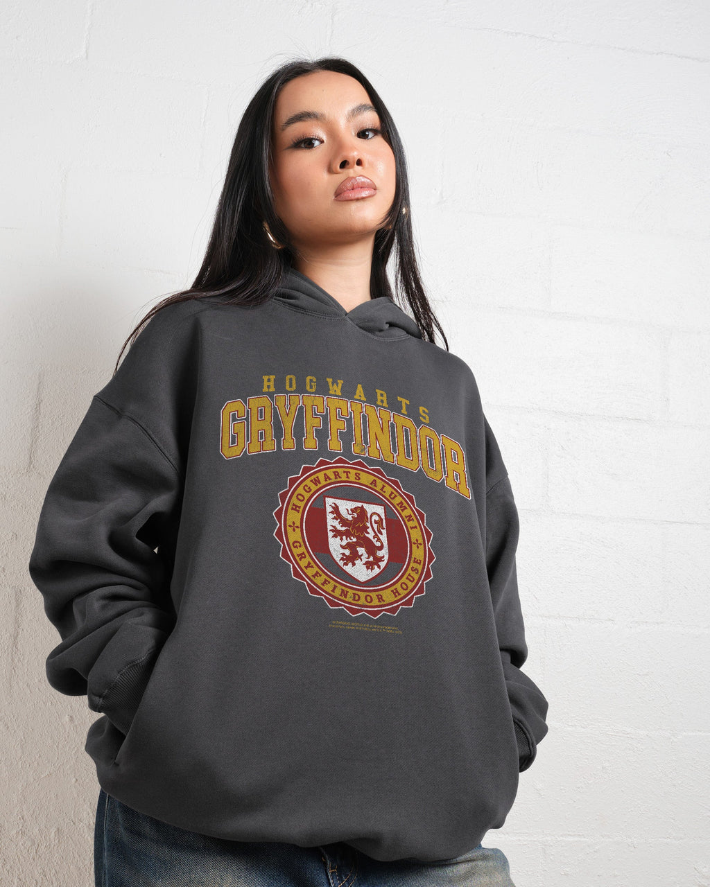 Gryffindor College Hoodie product image 4