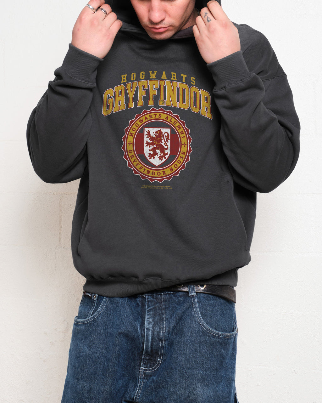 Gryffindor College Hoodie product image 3