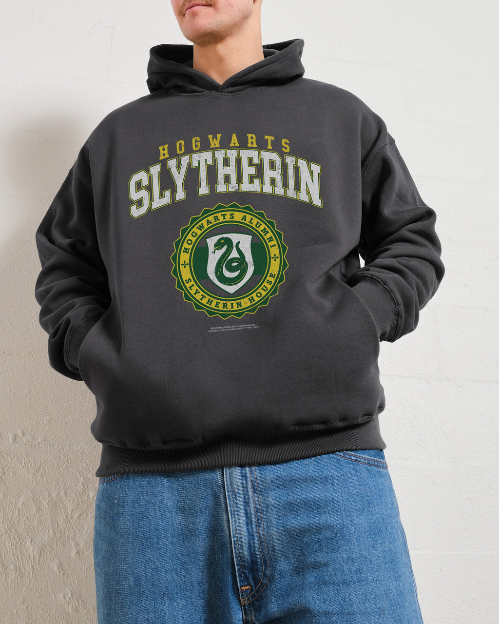 Slytherin College Hoodie product image 3