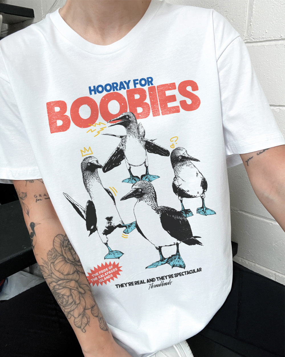 Hooray for Boobies T-Shirt product image 3