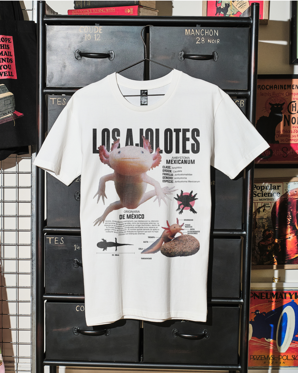 Los Ajolotes T-Shirt product image 1
