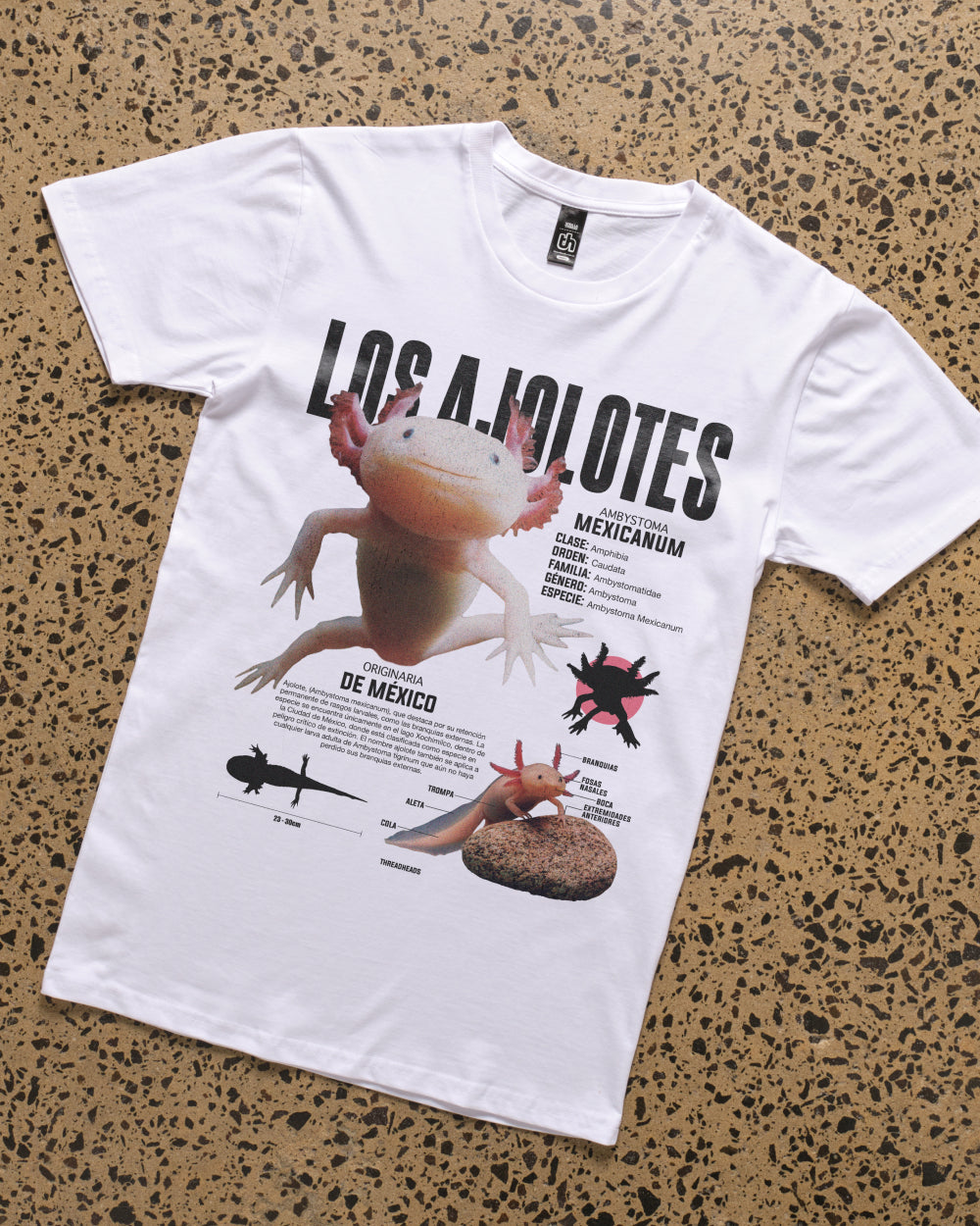 Los Ajolotes T-Shirt product image 2