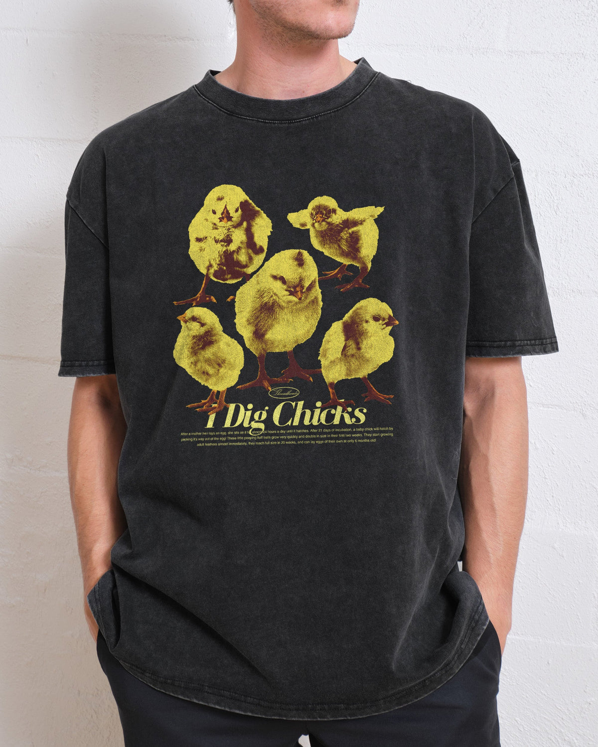 I Dig Chicks Oversized Tee product image 3