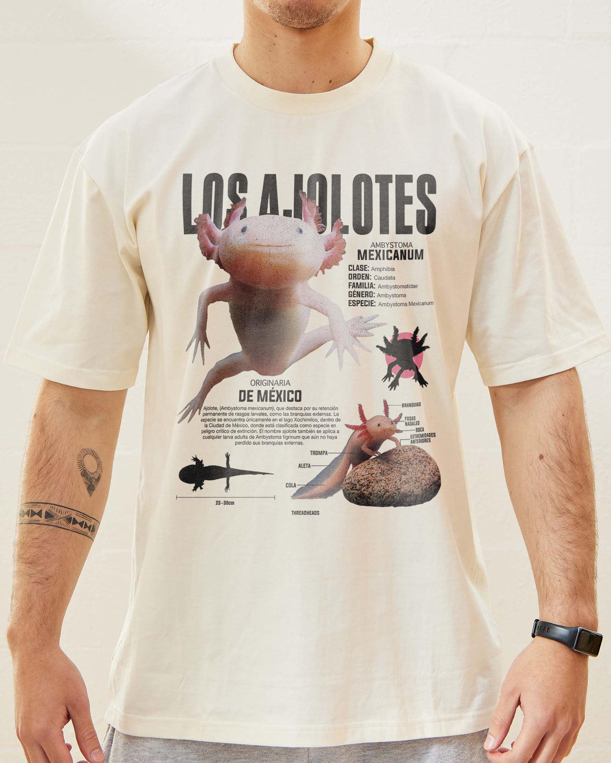 Los Ajolotes T-Shirt product image 5