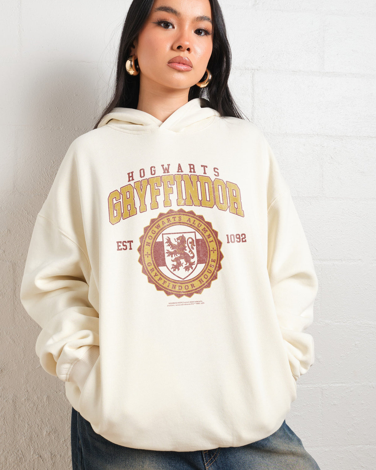 Gryffindor College Hoodie product image 5