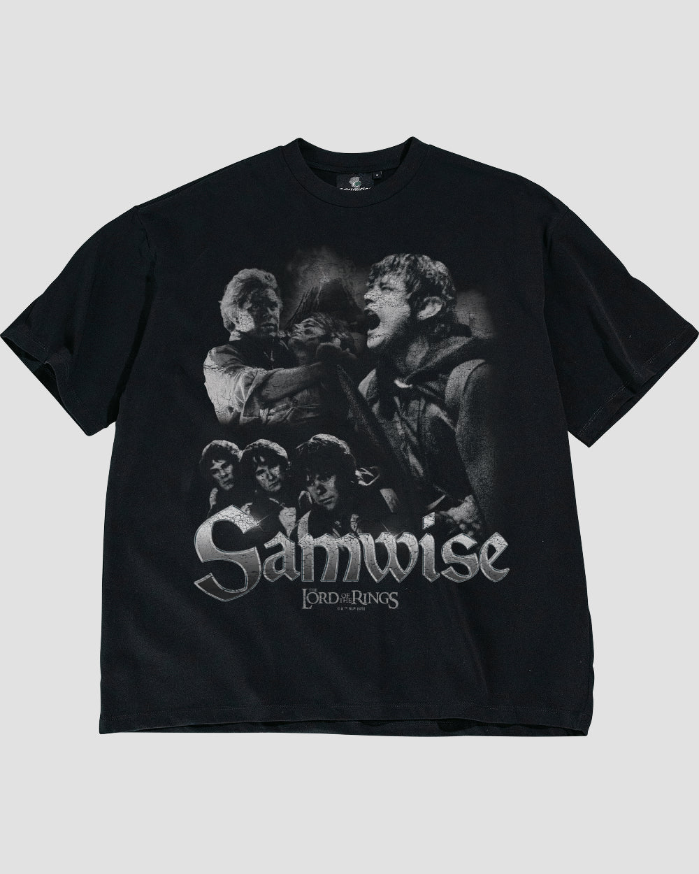 Samwise Oversized Tee product image 1