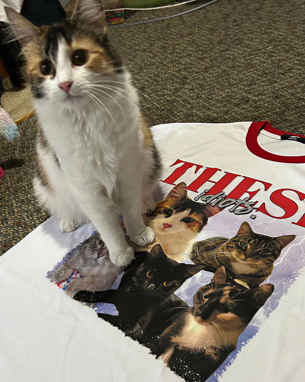 Custom Bootleg Tee product image 30