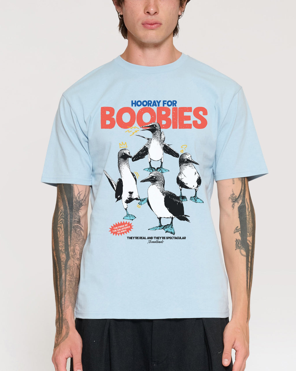 Hooray for Boobies T-Shirt product image 6