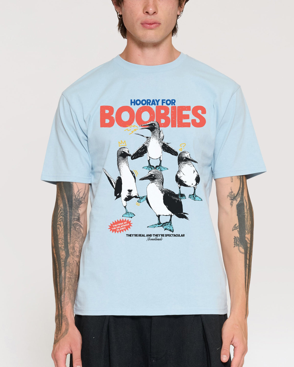 Hooray for Boobies T-Shirt product image 6