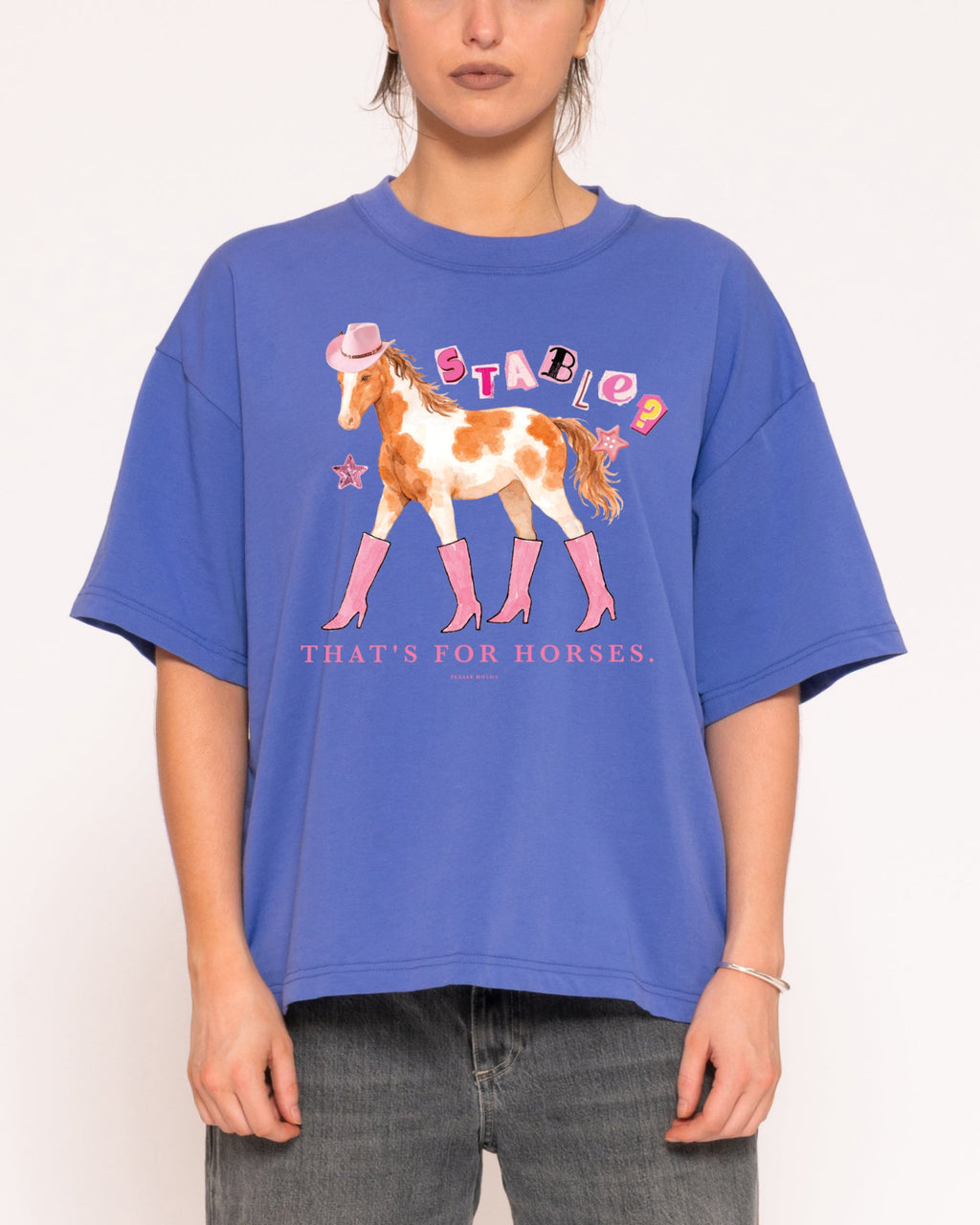 Stable? That's For Horses Boxy Tee product image 5
