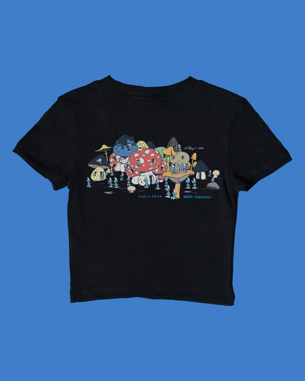 The Vintage Village Baby Tee product image 3