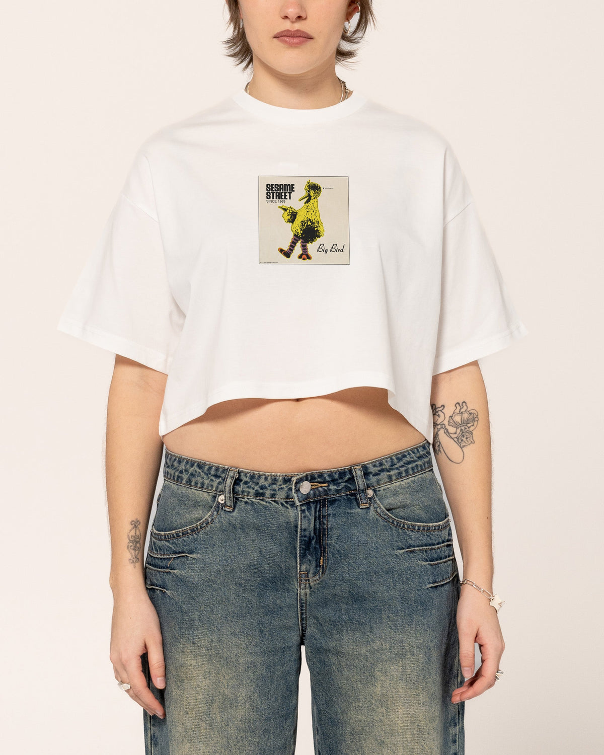 Big Bird Underground Crop Tee product image 3
