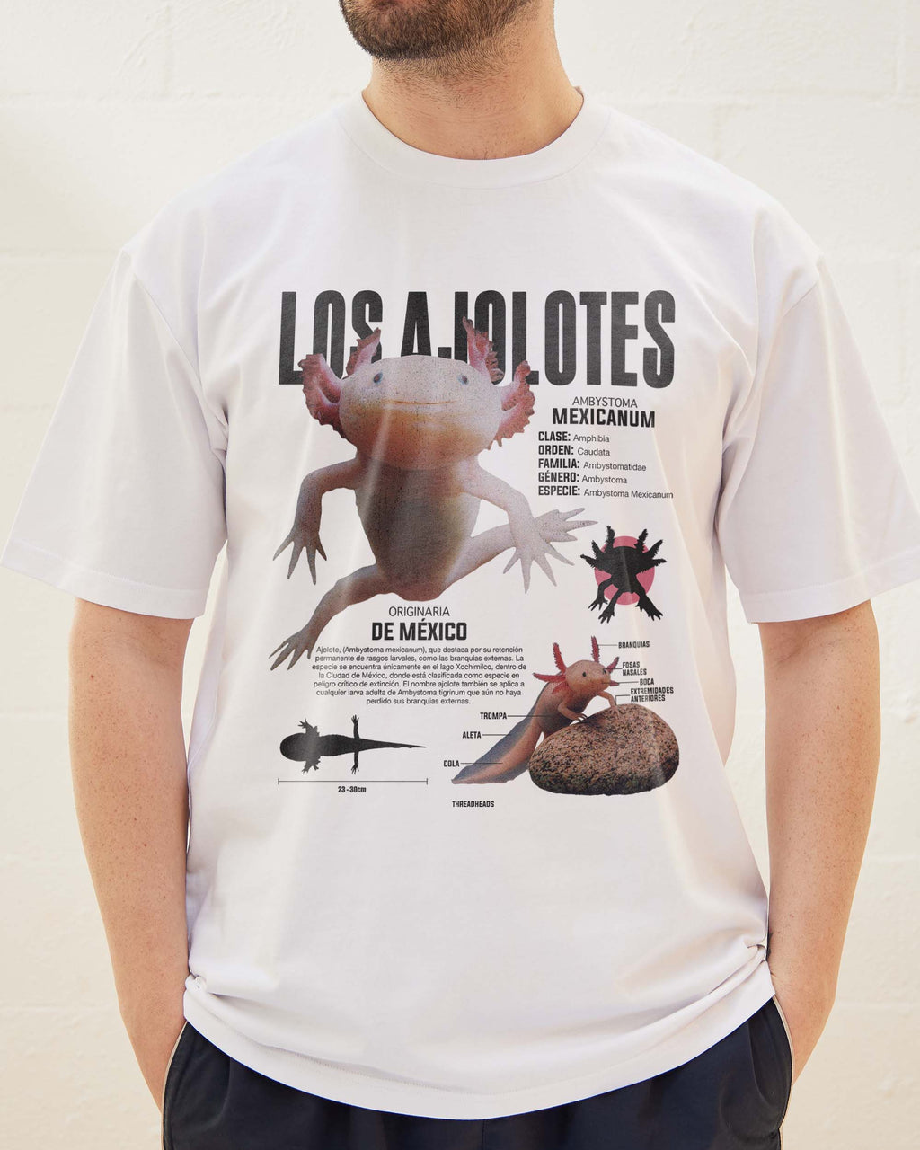 Los Ajolotes T-Shirt product image 4