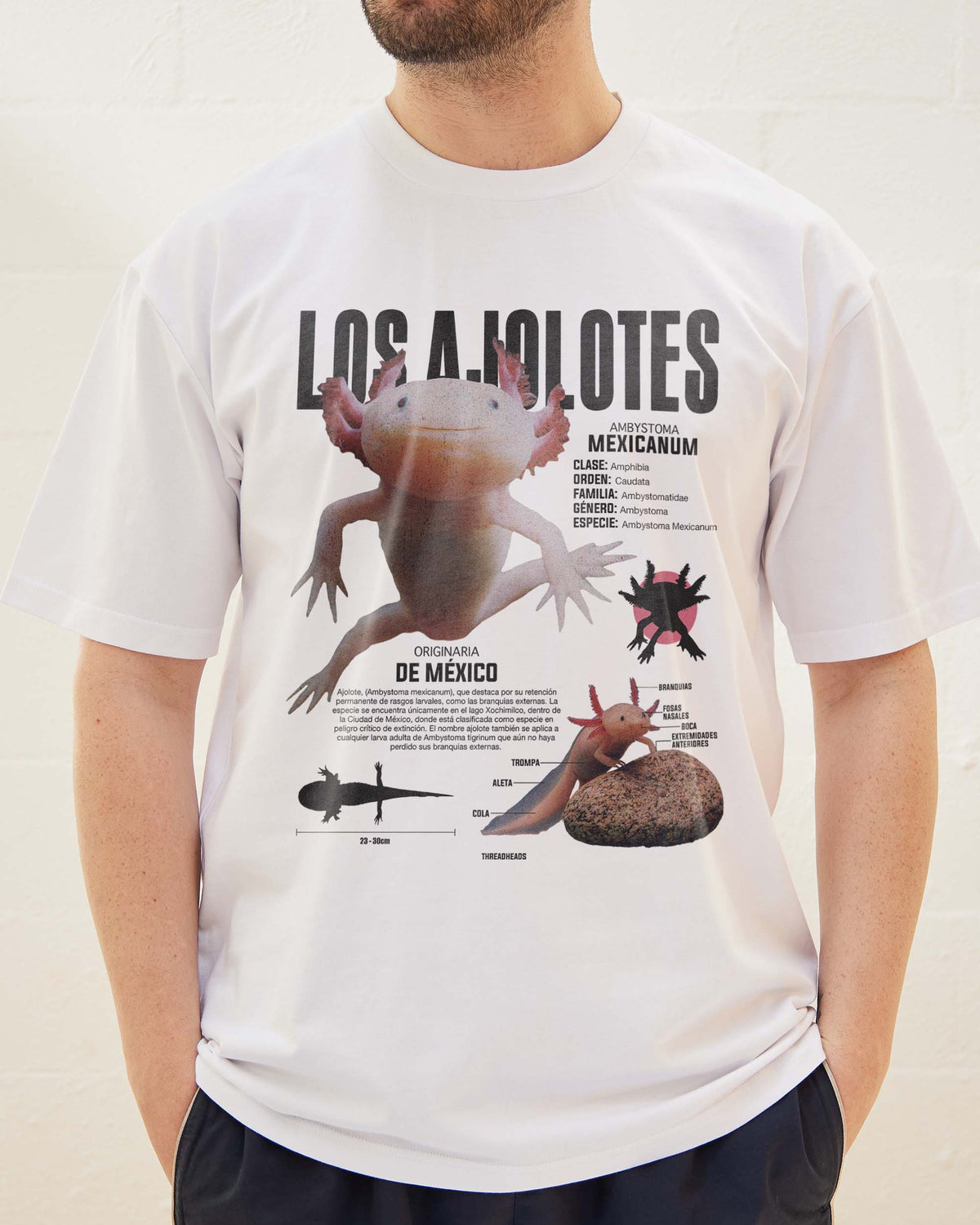 Los Ajolotes T-Shirt product image 4