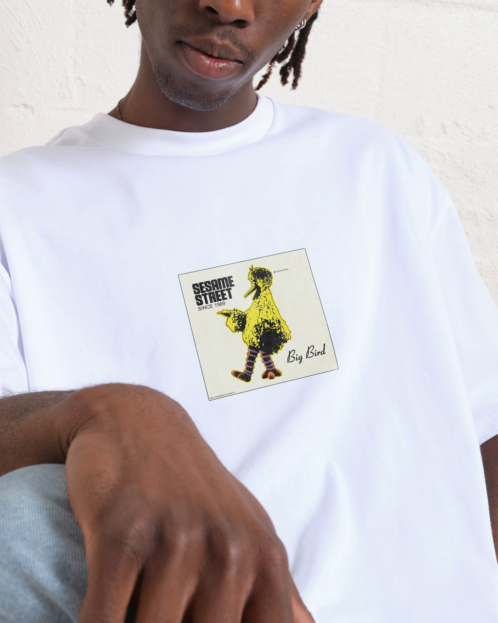 Big Bird Underground Oversized Tee product image 1