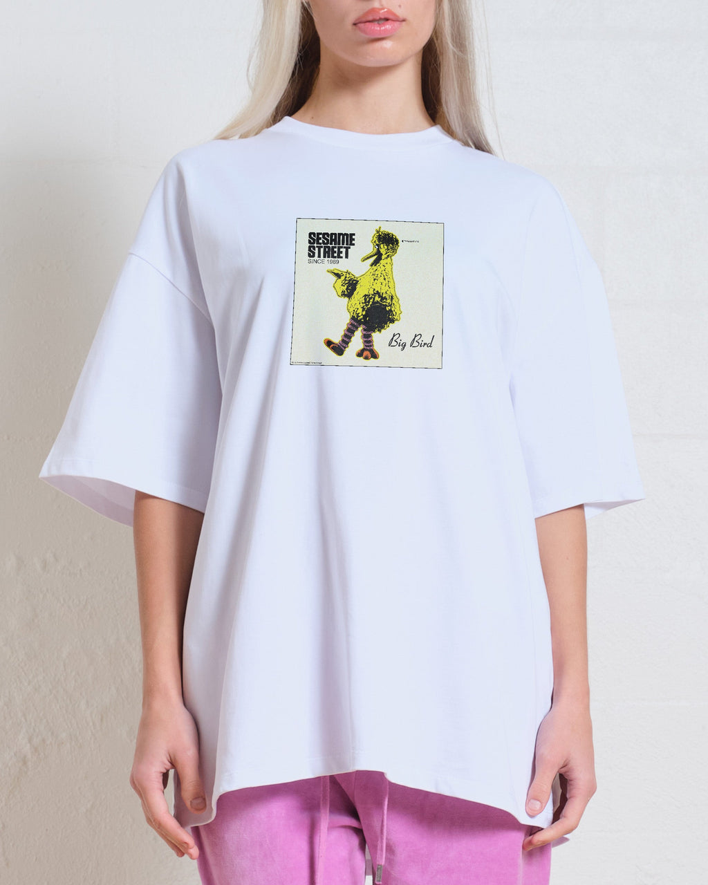 Big Bird Underground Oversized Tee product image 2