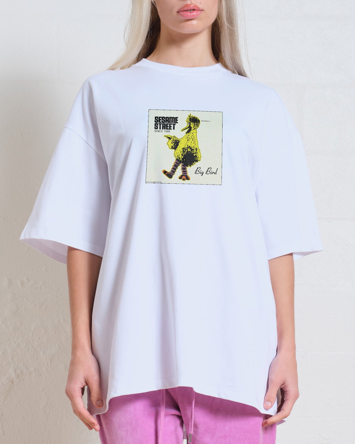 Big Bird Underground Oversized Tee product image 2