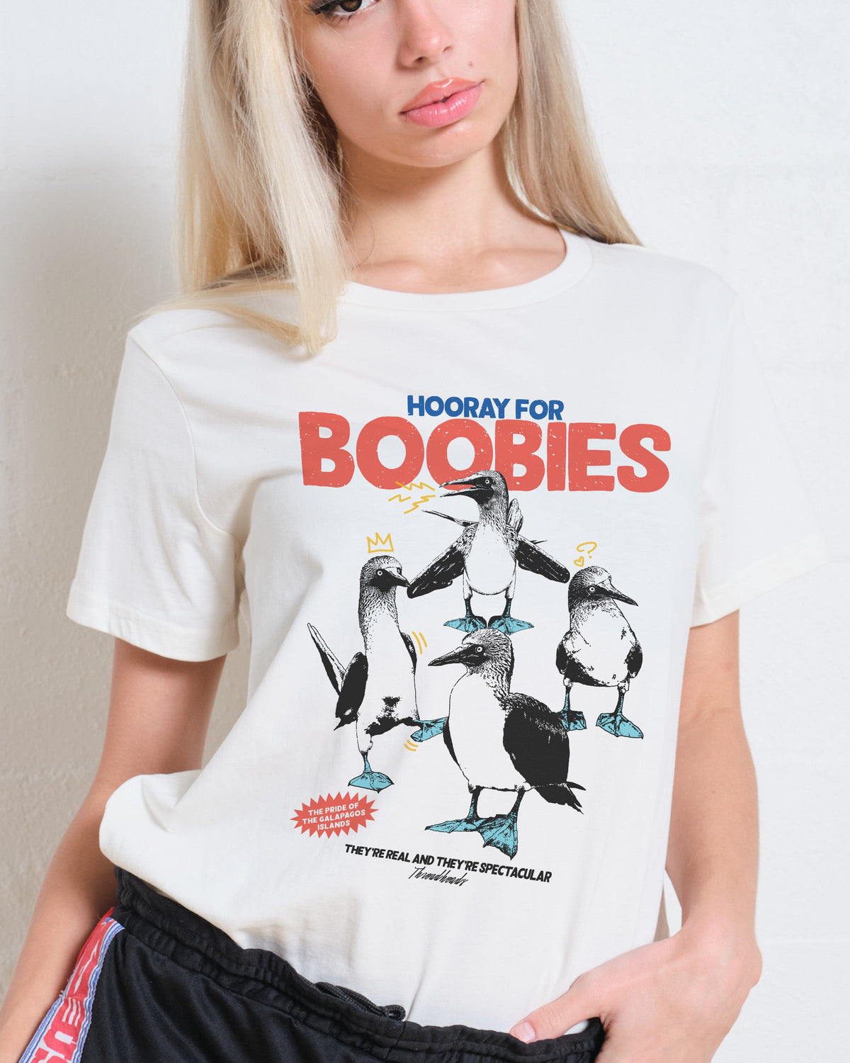 Hooray for Boobies Women's Tee product image 3