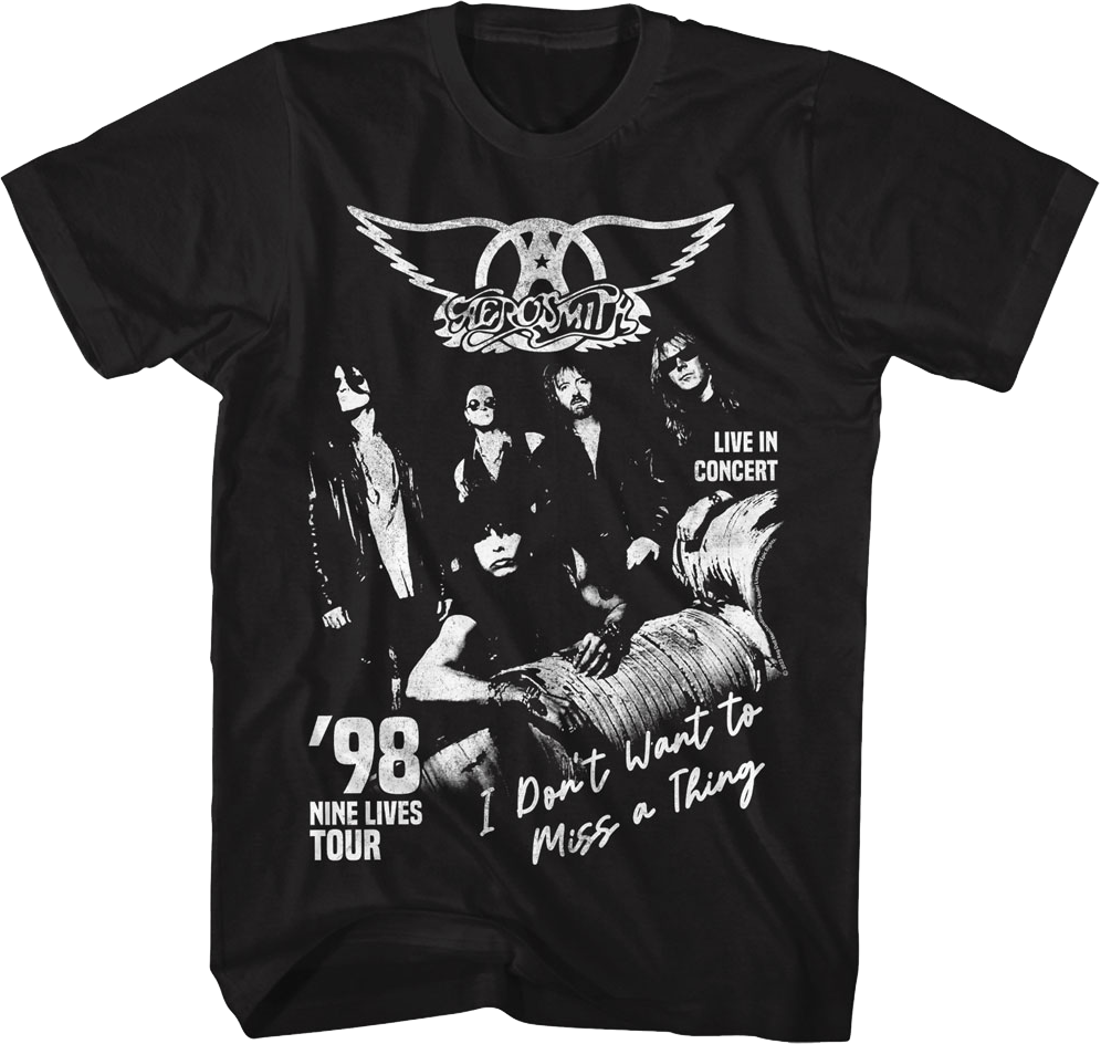 I Don't Want To Miss A Thing Aerosmith T-Shirt product image 1