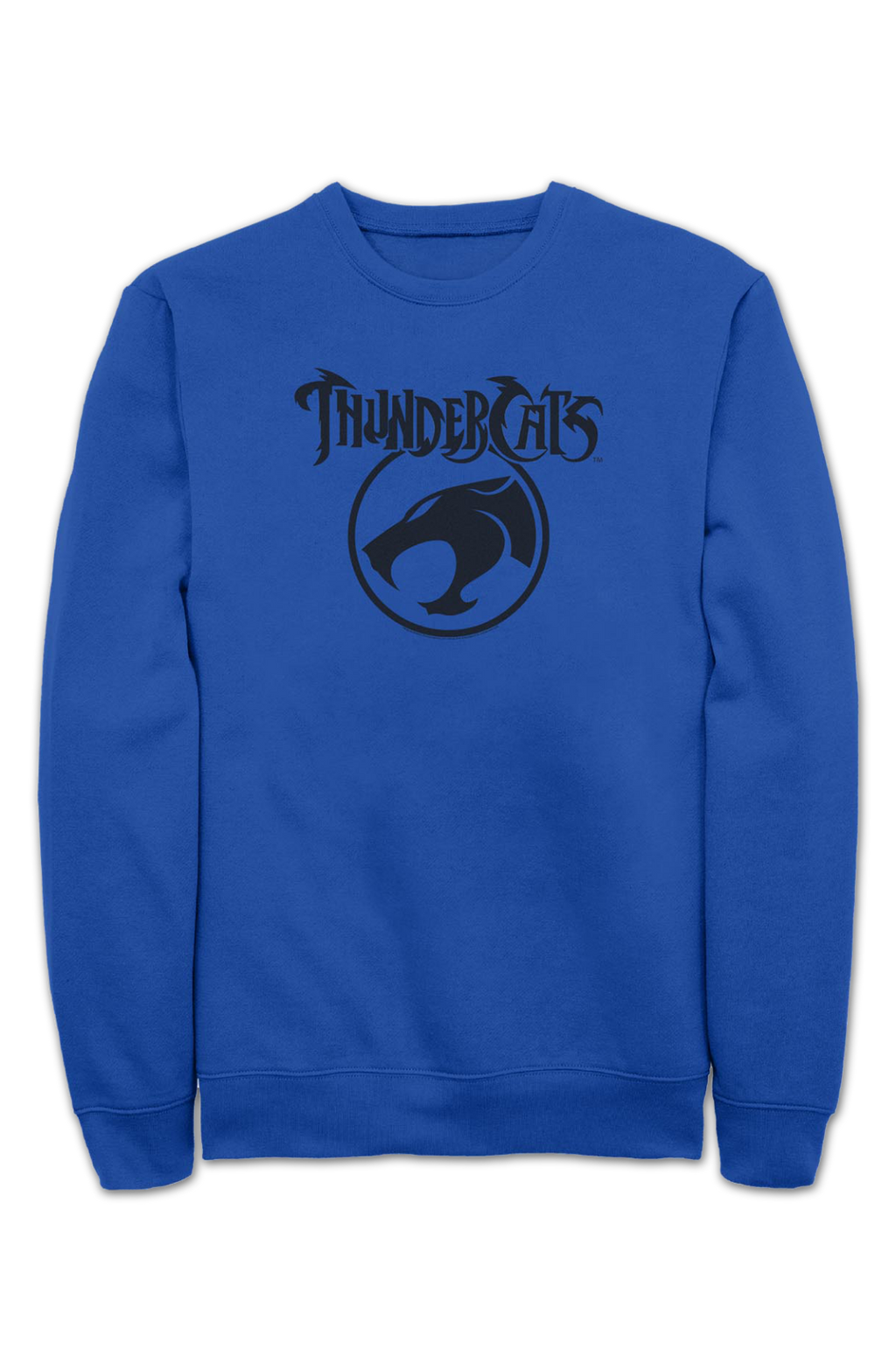 Blue ThunderCats Logo Sweatshirt product image 2