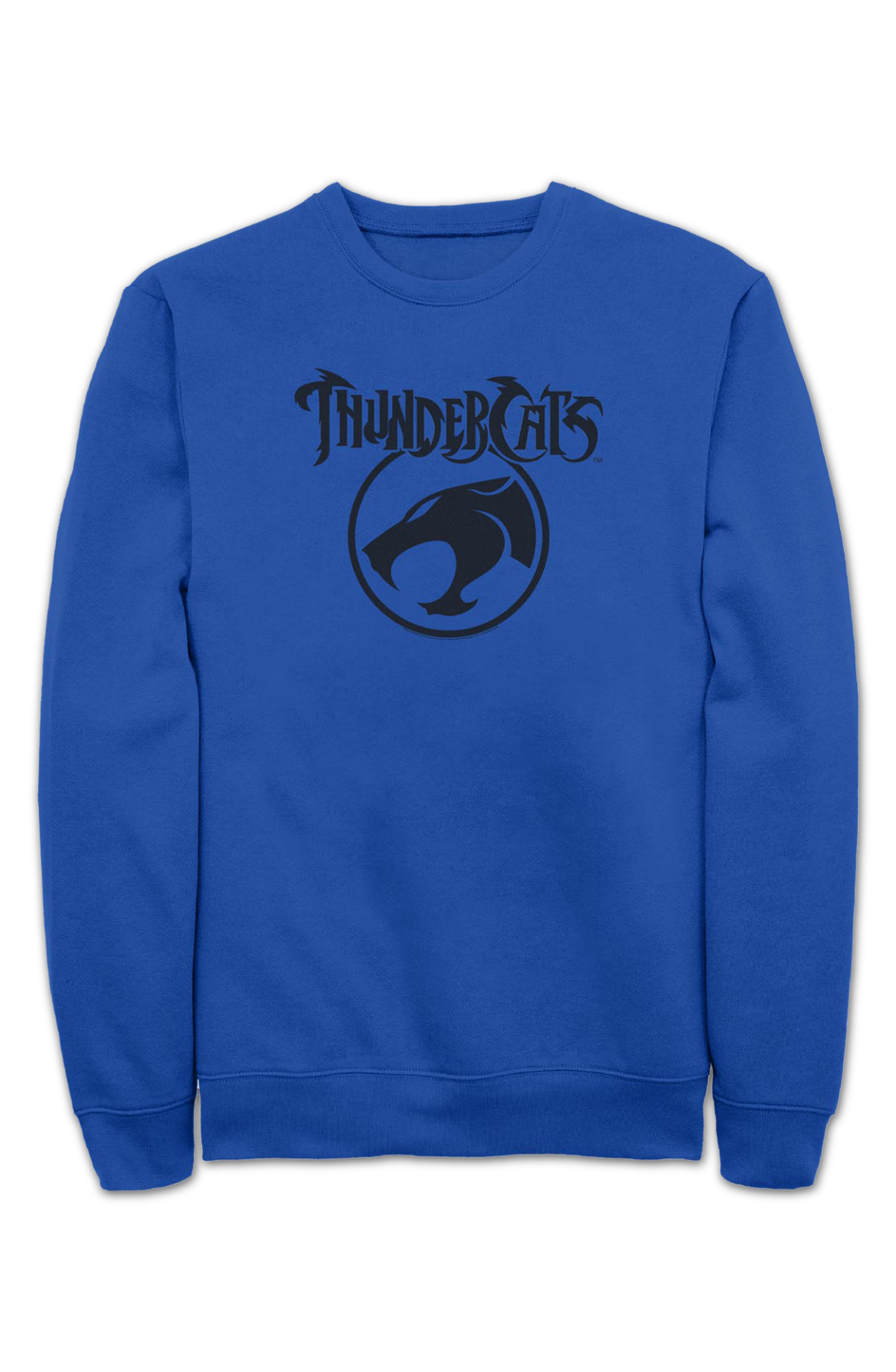 Blue ThunderCats Logo Sweatshirt product image 2