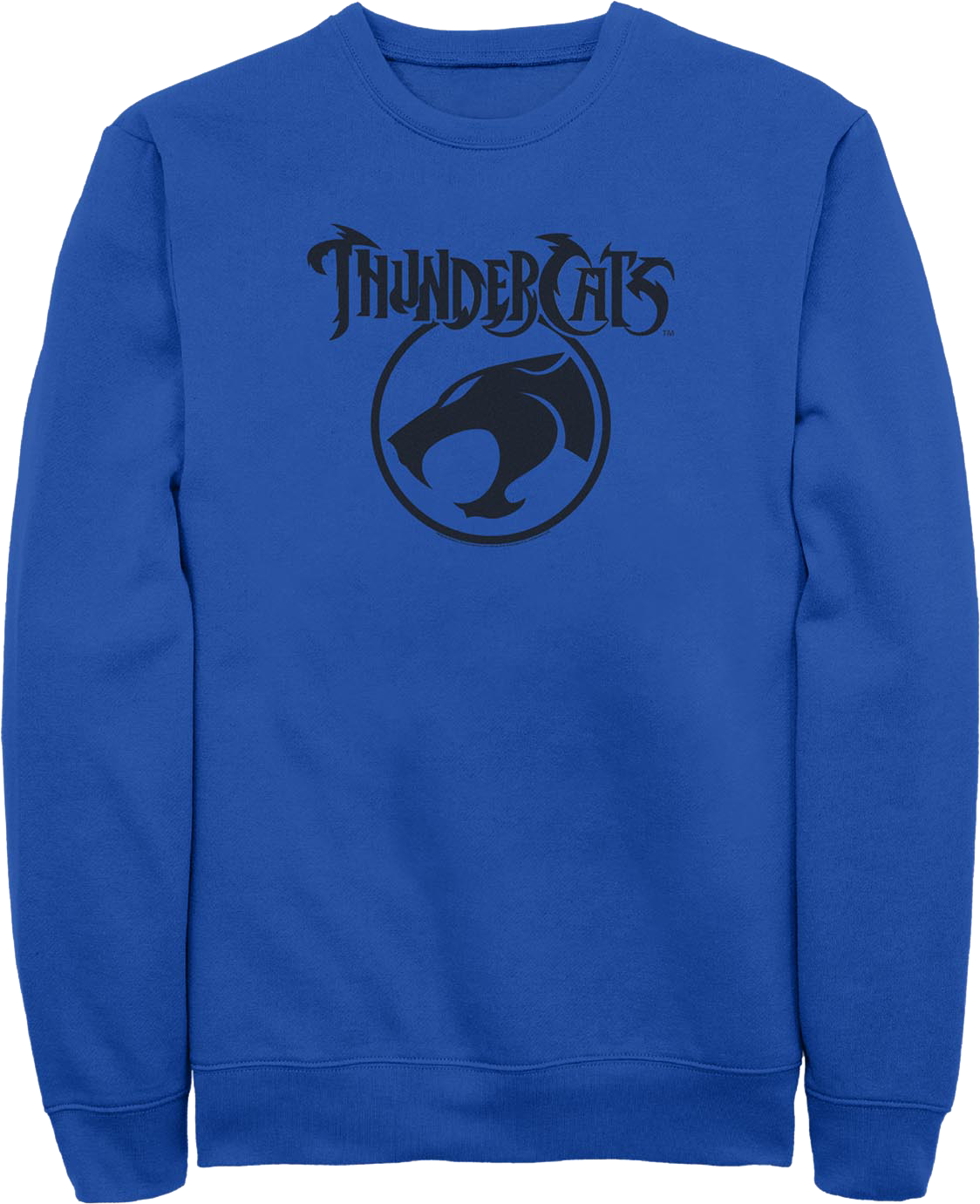 Blue ThunderCats Logo Sweatshirt product image 1