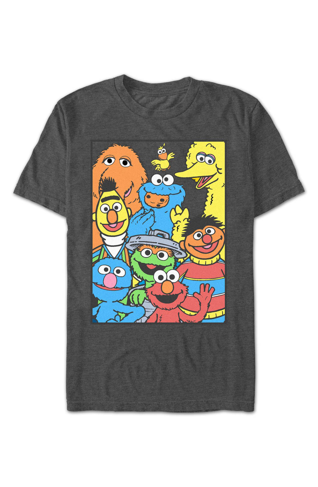 Charcoal Heather Framed Cast Photo Sesame Street T-Shirt product image 2