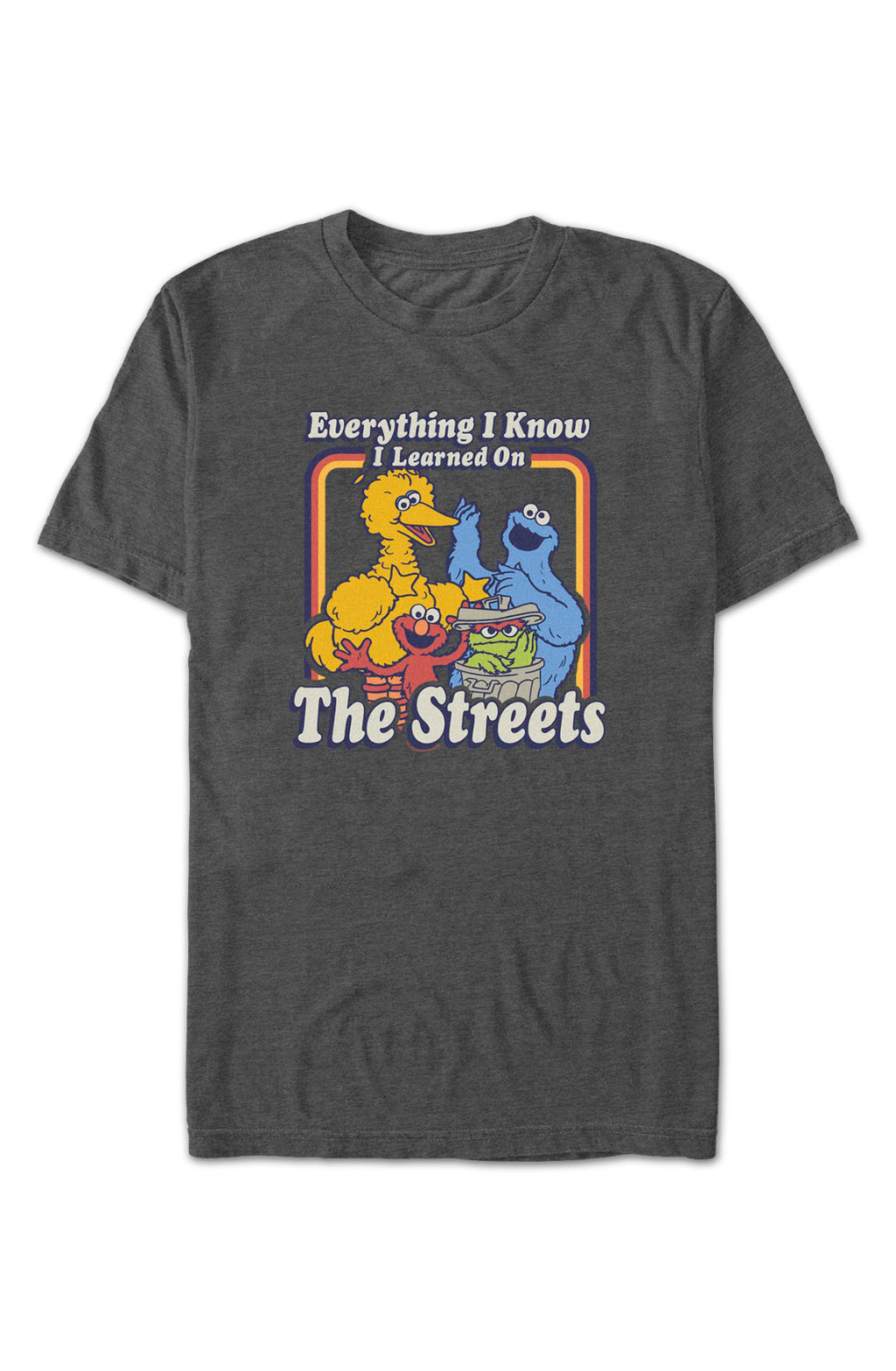Everything I Know I Learned On The Streets Sesame Street product image 2