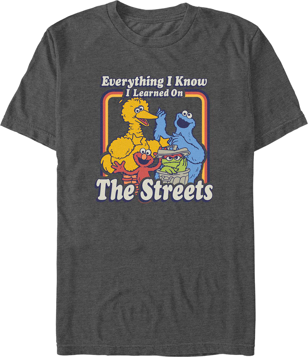 Everything I Know I Learned On The Streets Sesame Street product image 1