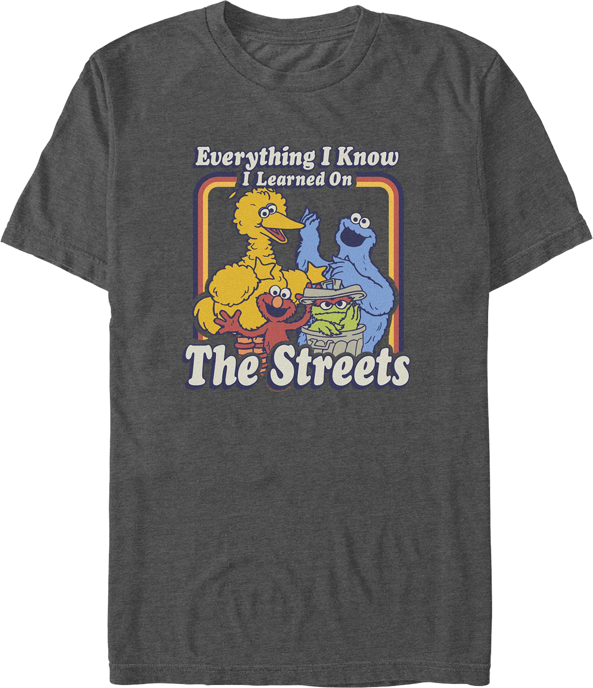 Everything I Know I Learned On The Streets Sesame Street product image 1