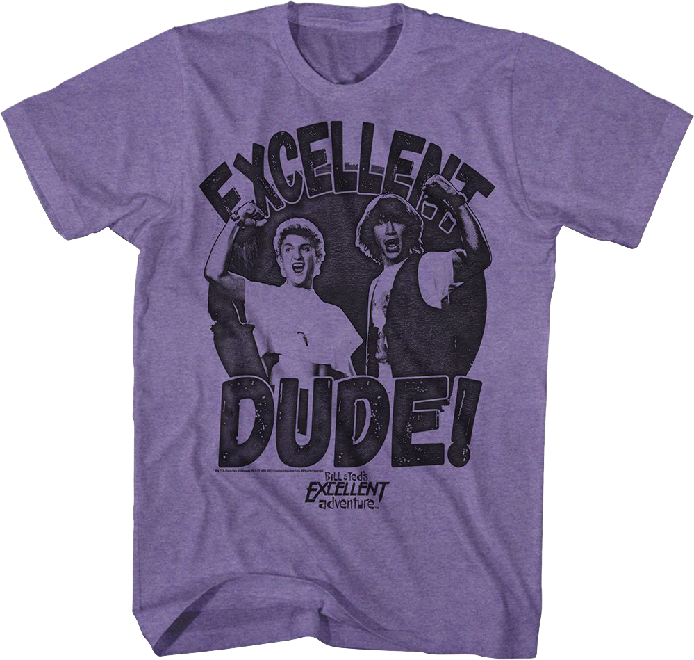 Excellent Dude Bill & Ted's Adventure T-Shirt product image 1