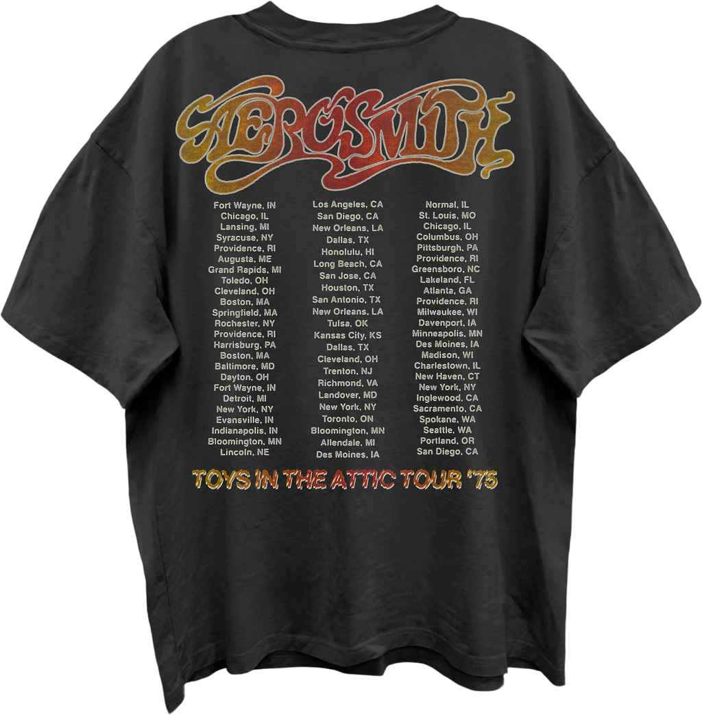 Front & Back Toys In The Attic Tour '75 Aerosmith Oversized product image 3